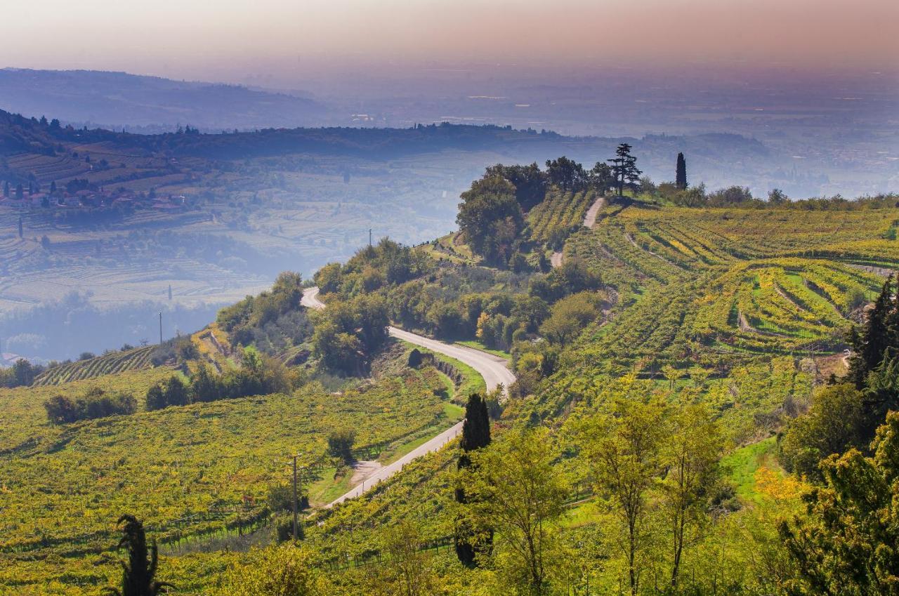 Valpolicella Homes Recioto Apartment Сант-Амброджо-ди-Вальполичелла Экстерьер фото