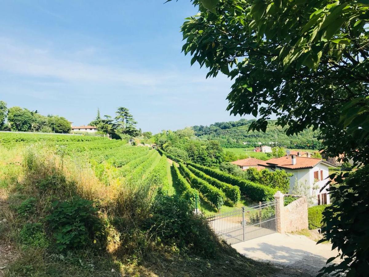Valpolicella Homes Recioto Apartment Сант-Амброджо-ди-Вальполичелла Экстерьер фото