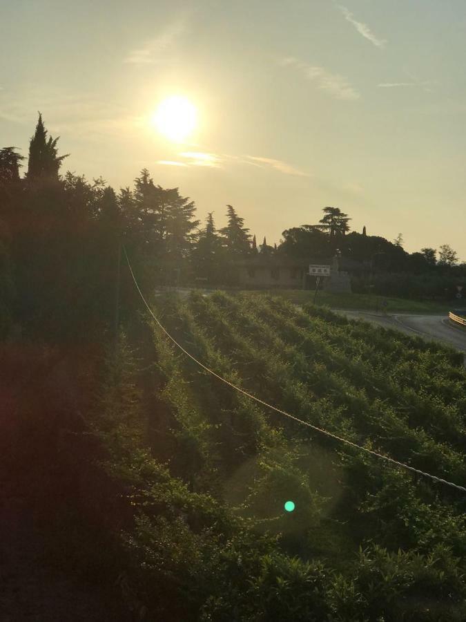 Valpolicella Homes Recioto Apartment Сант-Амброджо-ди-Вальполичелла Экстерьер фото